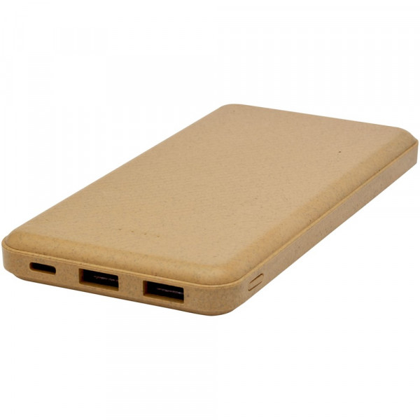 Eco Powerbank 10000 mAh