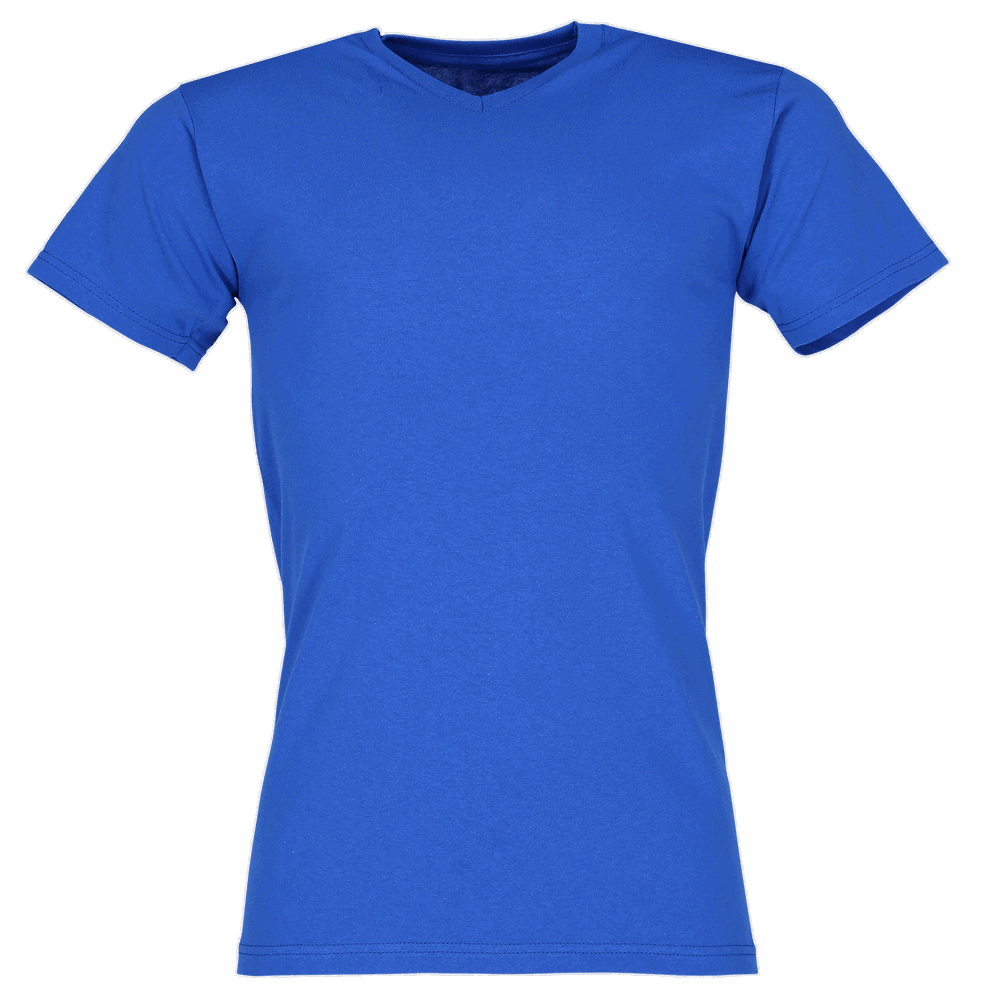 610660 - Valueweight V-Neck T-Shirt - Royal