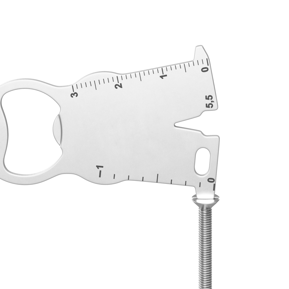 RICHARTZ® EINKAUFSWAGENLÖSER karl election