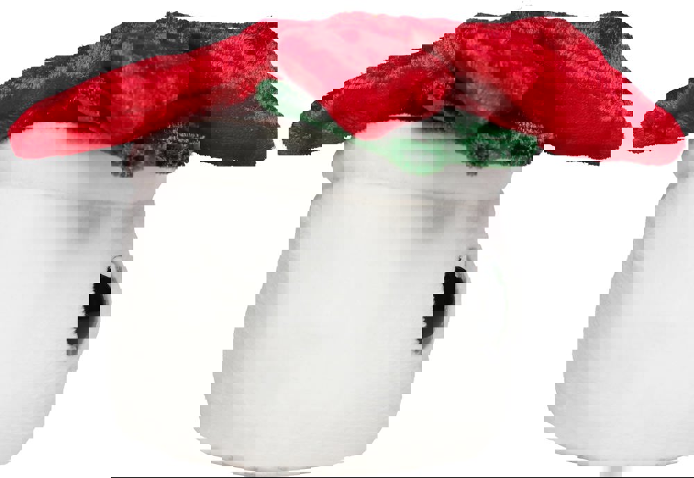 Schmoozies® Evergreenies® Weihnachtsstern, multicolour, one size