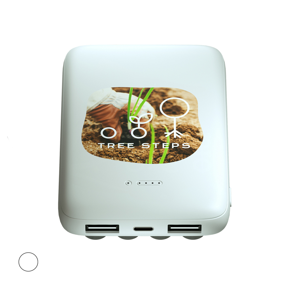 Zeta Induction Priority