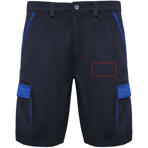 Tahoe Arbeitsshorts, 250 g/m2