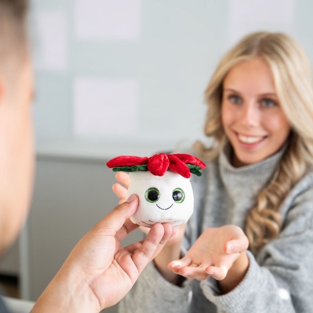 Schmoozies® Evergreenies® Weihnachtsstern, multicolour, one size