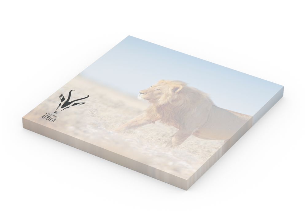 Haftnotizblock Basic EXPRESS, 72 × 72 mm