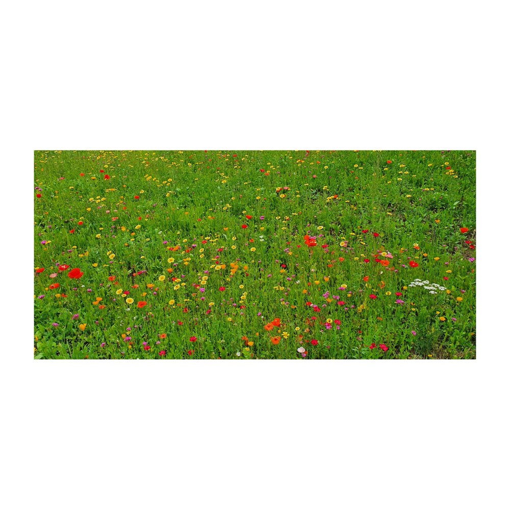 Bienenweide im Oster-Eierkarton Blumen