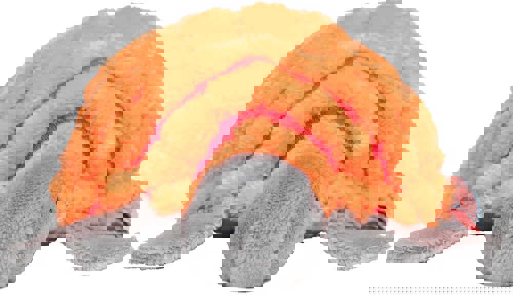 Katzenspielzeug Schildkröte, multicolour, one size