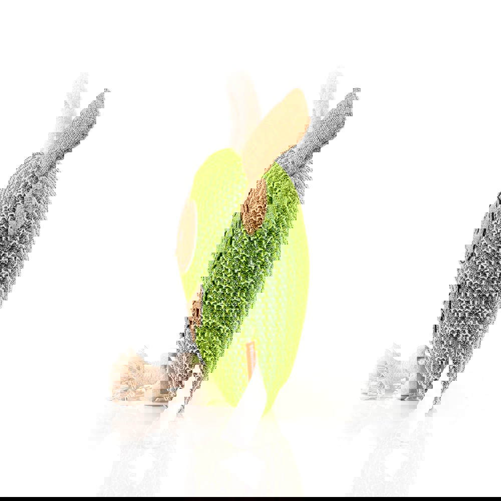 Hundespielzeug Gespenst, grün, one size