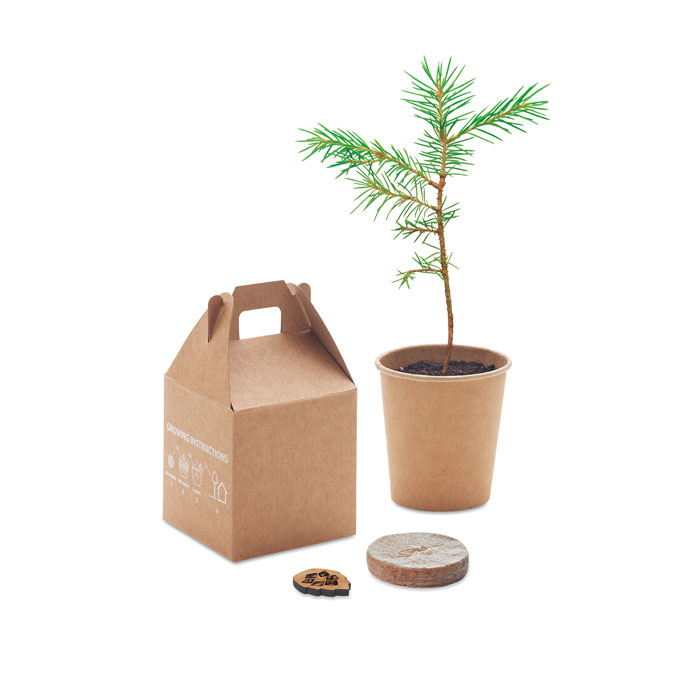 GROWTREE™ - Kiefernsamen-Set