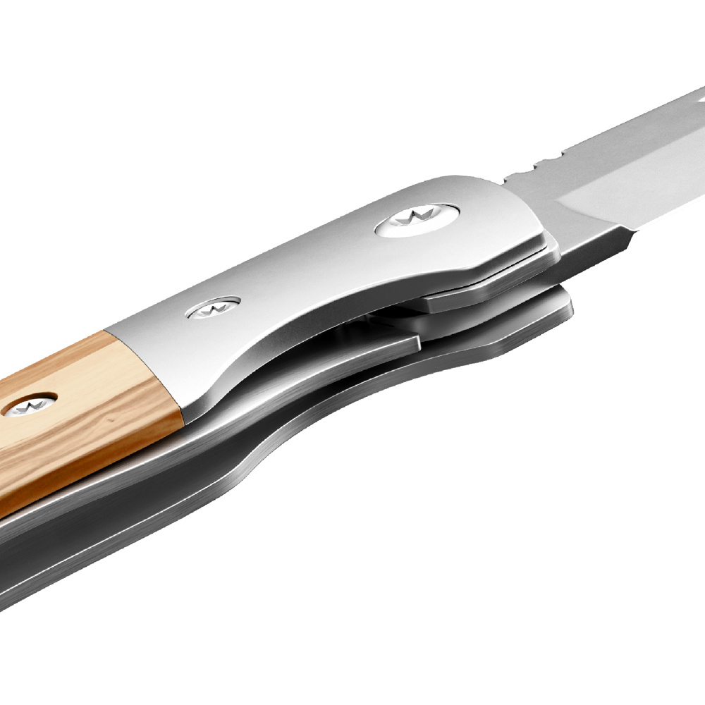 RICHARTZ® LEO picknick olive