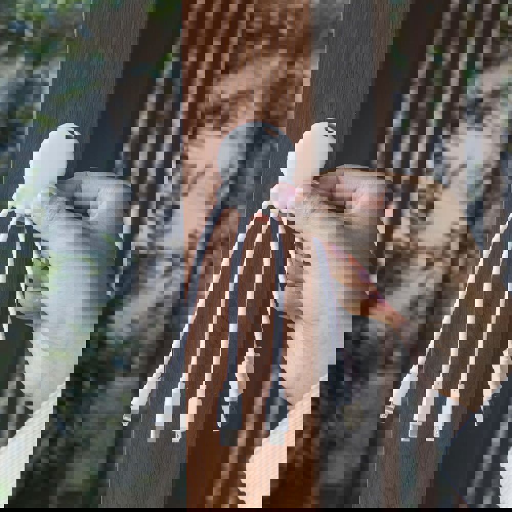 2087 | Xoopar Octopus Charging cable