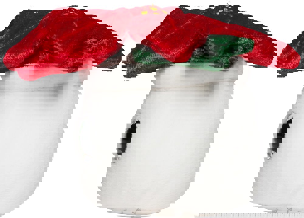 Schmoozies® Evergreenies® Weihnachtsstern, multicolour, one size