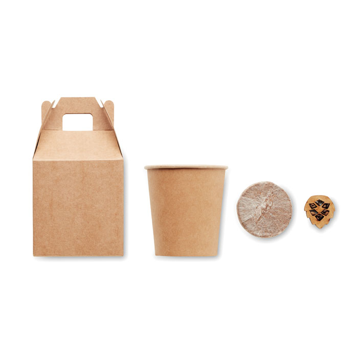 GROWTREE™ - Kiefernsamen-Set