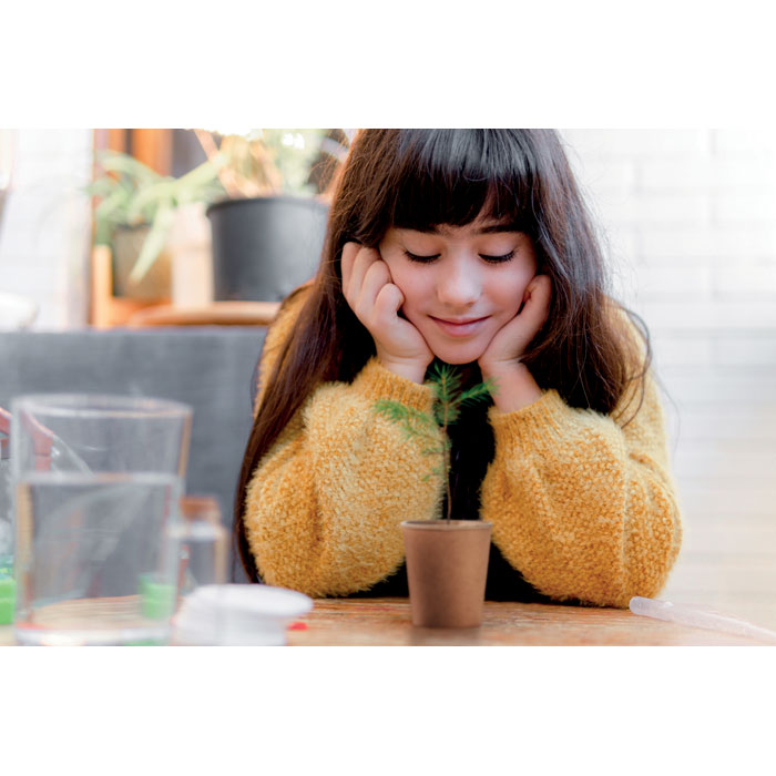 GROWTREE™ - Kiefernsamen-Set