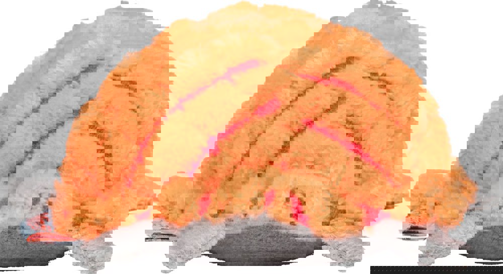 Katzenspielzeug Schildkröte, multicolour, one size