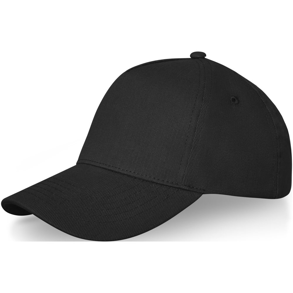 Doyle 260 g/m² Panel Kappe mit 5 Segmenten - Schwarz