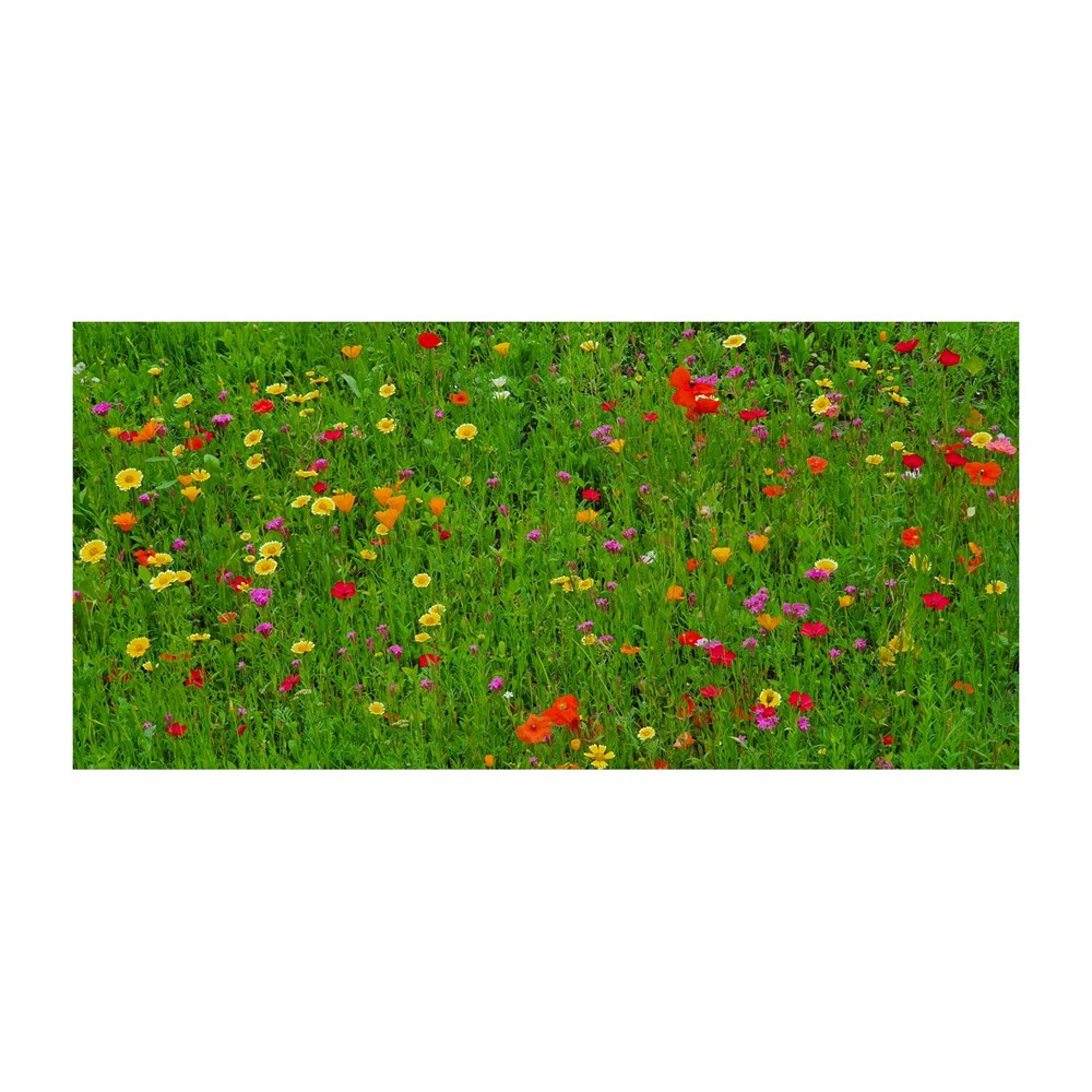 Bienenweide im Oster-Eierkarton Blumen