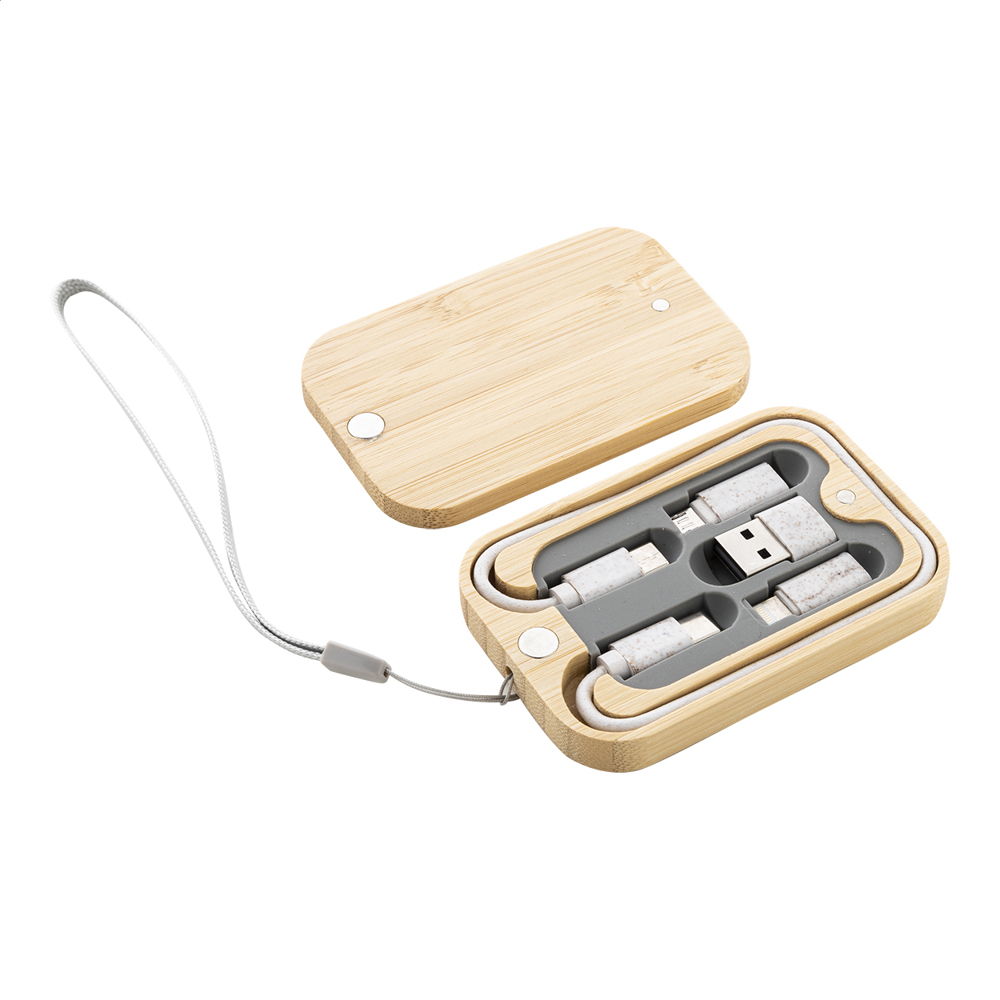 Cabsly - USB-Ladekabelset