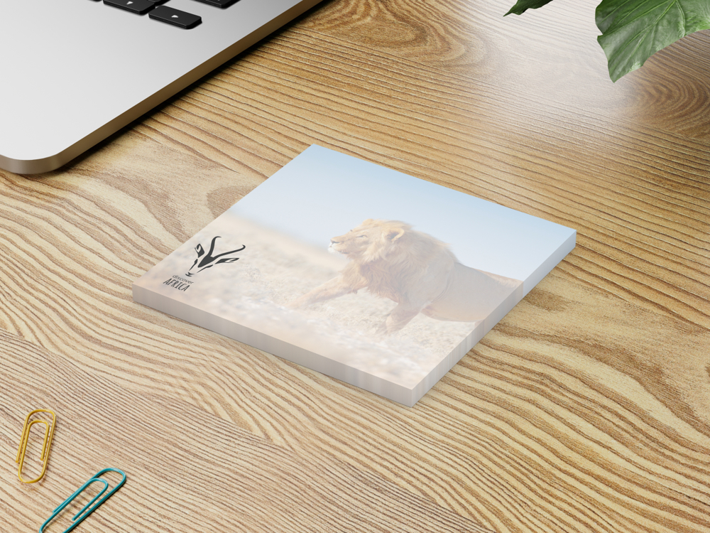 Haftnotizblock Basic EXPRESS, 72 × 72 mm