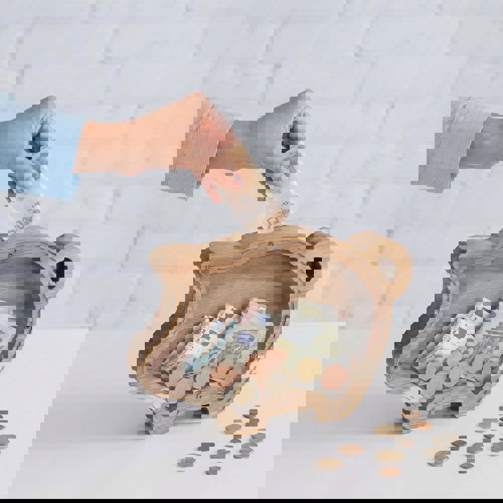 PennyVista Sparschwein