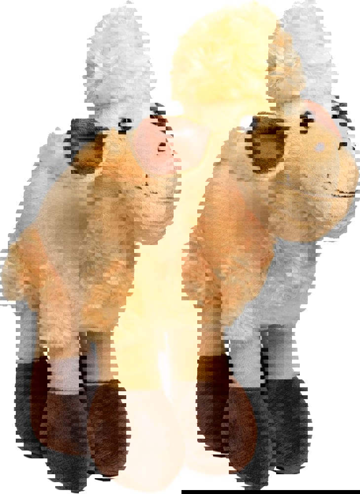 Kamel Amira, hellbraun, one size