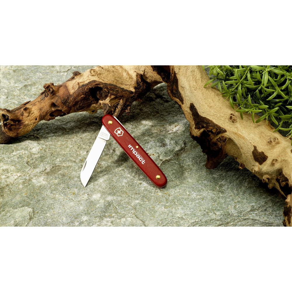 Victorinox Ecoline Blumenmesser