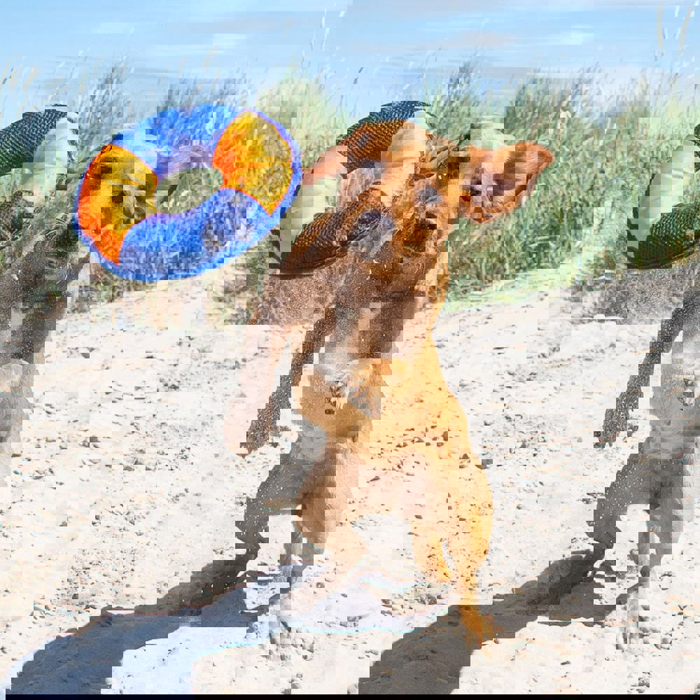 Hundespielzeug Flying Disc, weiß/rot, S