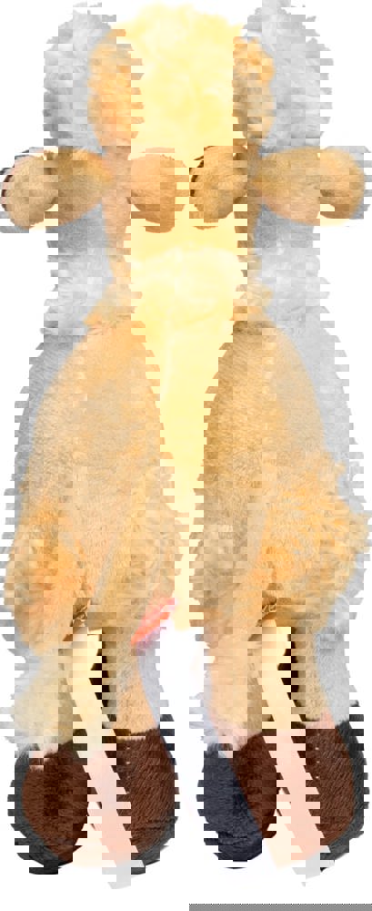 Kamel Amira, hellbraun, one size