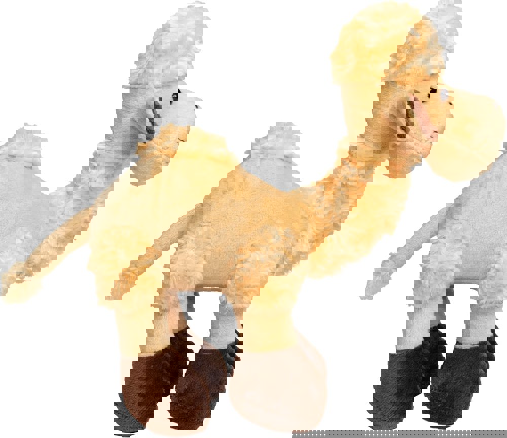 Kamel Amira, hellbraun, one size