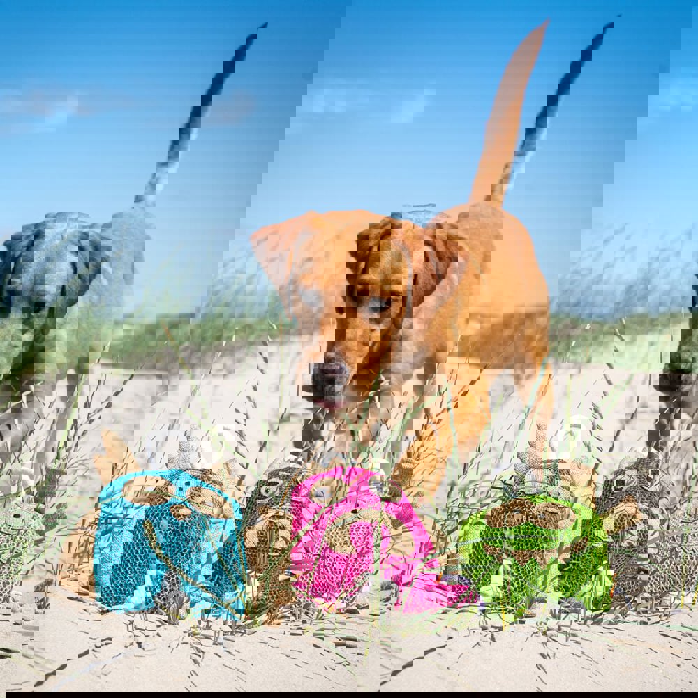 Hundespielzeug Eule, blau, one size