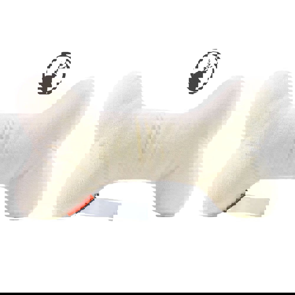 Hundespielzeug Knochen