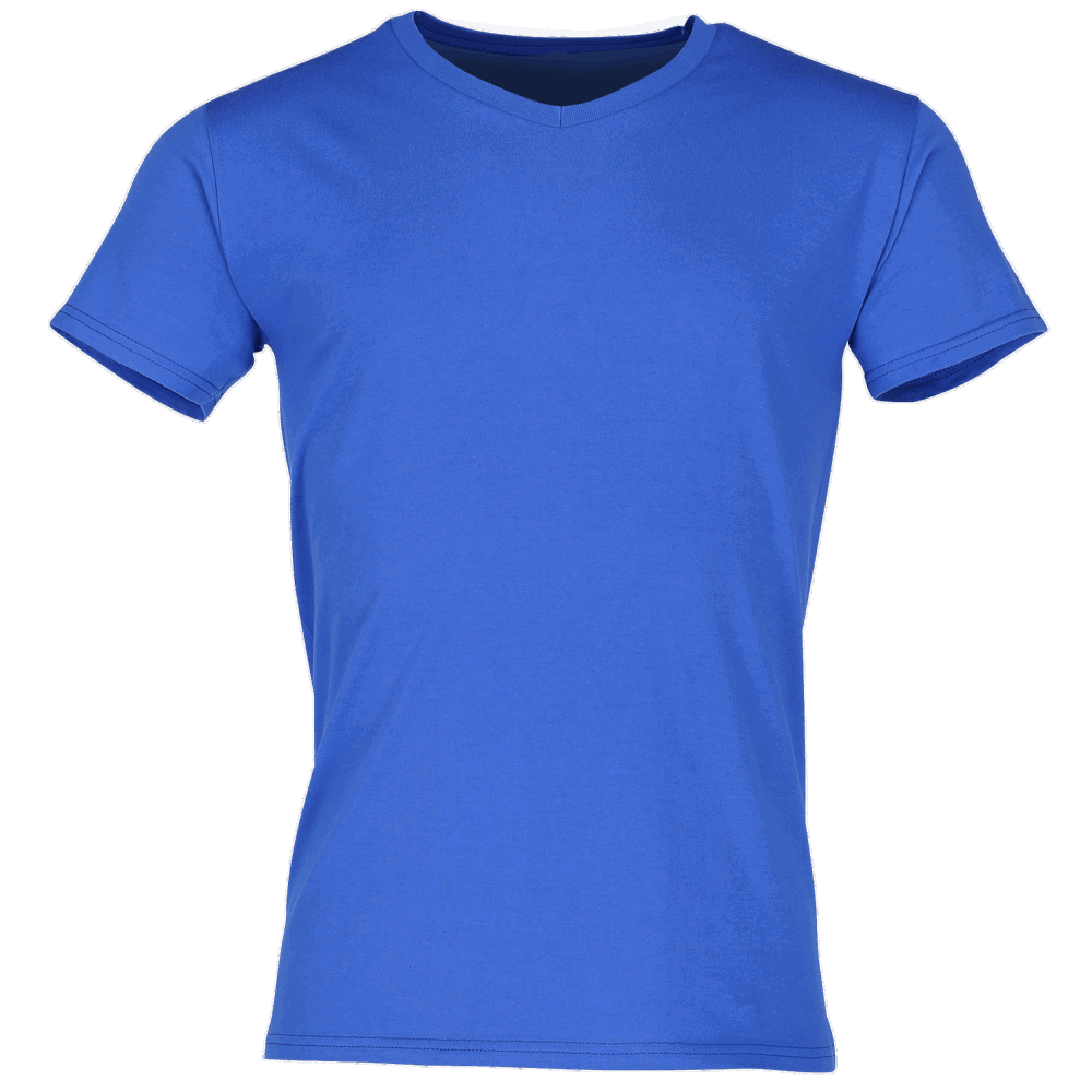 614420 - Iconic 150 V-Neck T-Shirt - Royal